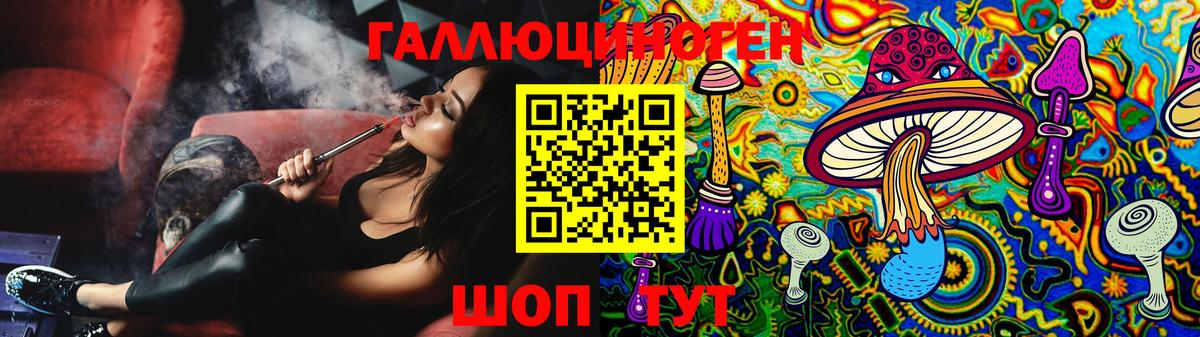 Псилоцибиновые грибы ЛСД  Вход с VPN  Камышин  Галлюциногенные грибы MAGIC MUSHROOMS 
